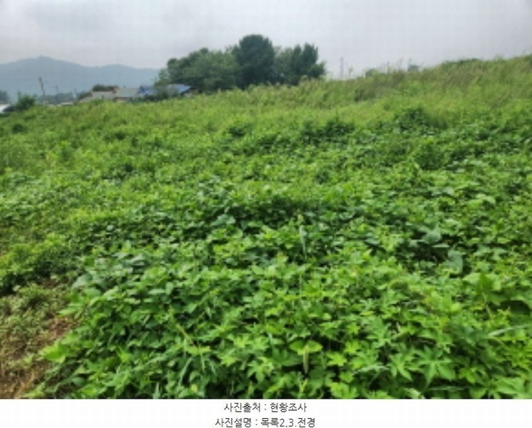 2024타경10978 인천광역시 강화군 화도면 내리 2518 농지 경매 이미지