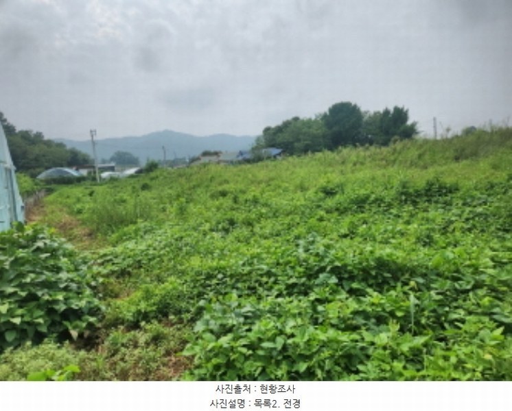 2024타경10978 인천광역시 강화군 화도면 내리 2518 농지 경매 이미지