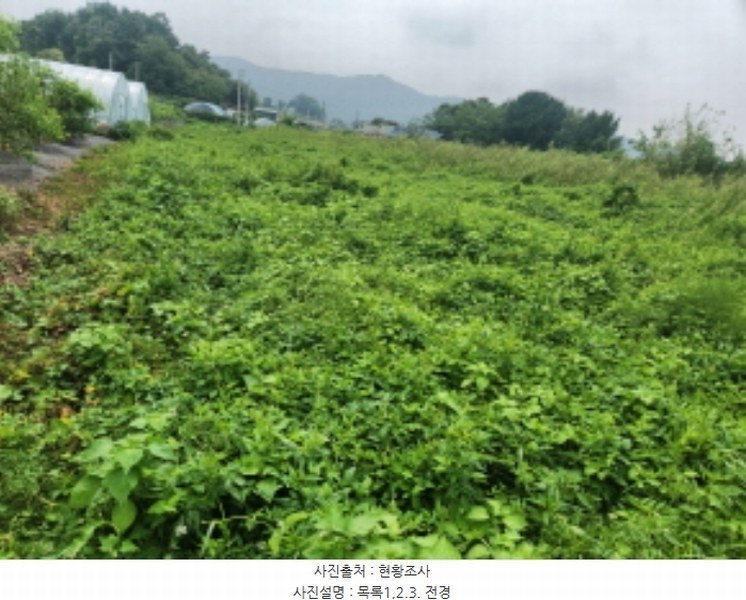 2024타경10978 인천광역시 강화군 화도면 내리 2518 농지 경매 이미지
