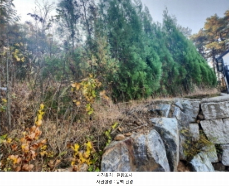 2024타경14505 인천광역시 강화군 선원면 연리 420-13 임야 경매 이미지