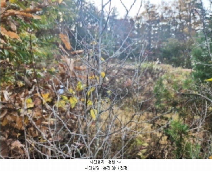 2024타경14505 인천광역시 강화군 선원면 연리 420-13 임야 경매 이미지