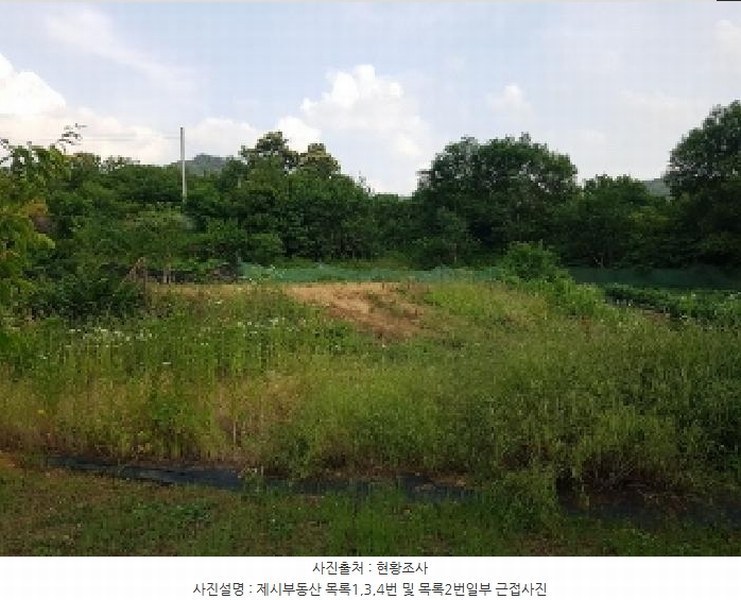 2025타경1227 강원특별자치도 춘천시 신동면 증리 903-8 농지 경매 이미지