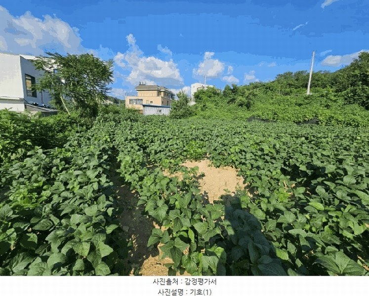 2025타경1227 강원특별자치도 춘천시 신동면 증리 903-8 농지 경매 이미지