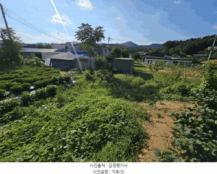 2025타경1227 강원특별자치도 춘천시 신동면 증리 903-8 농지 경매 이미지