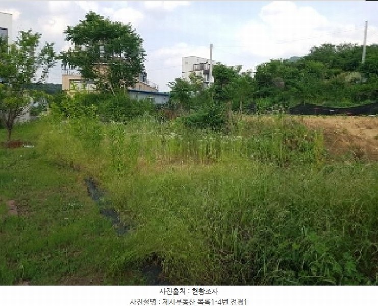 2025타경1227 강원특별자치도 춘천시 신동면 증리 903-8 농지 경매 이미지