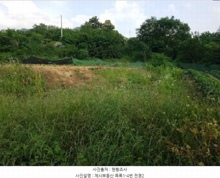 2025타경1227 강원특별자치도 춘천시 신동면 증리 903-8 농지 경매 이미지