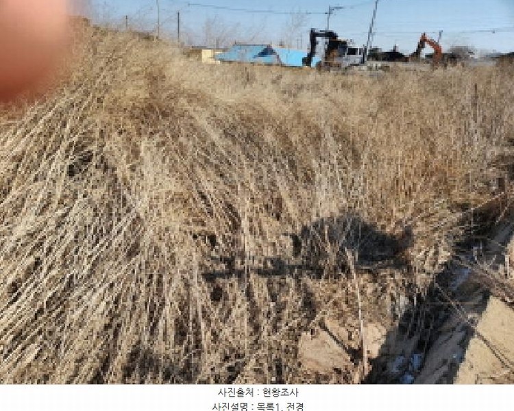 2025타경507186 인천광역시 강화군 길상면 장흥리 58-1 농지 경매 이미지