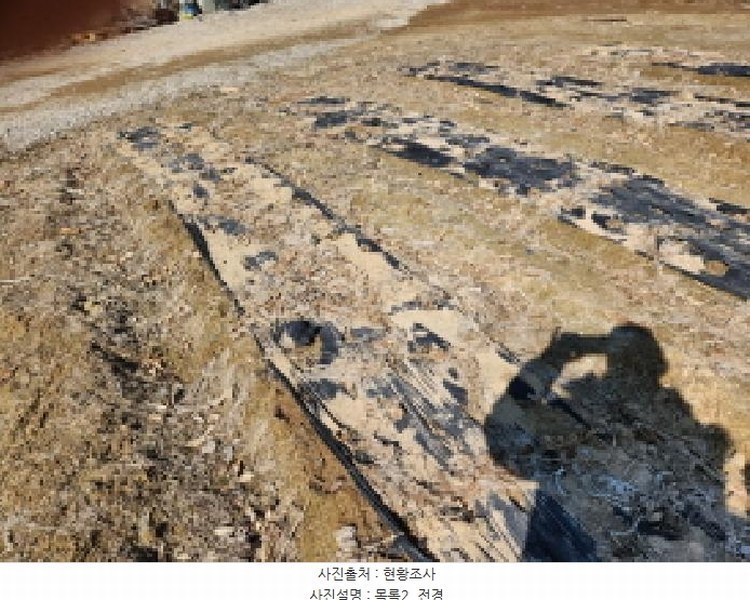 2025타경507186 인천광역시 강화군 길상면 장흥리 58-1 농지 경매 이미지