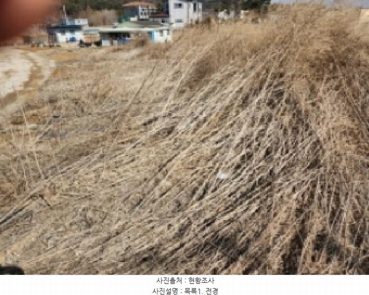 2025타경507186 인천광역시 강화군 길상면 장흥리 58-1 농지 경매 이미지