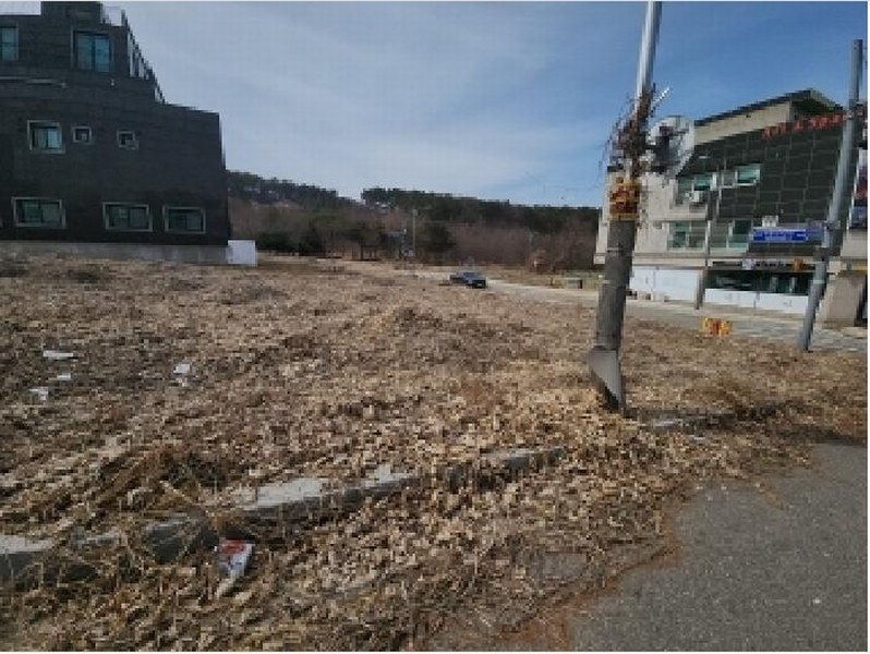 2025타경507589 인천광역시 중구 운북동 1299-1 대지 경매 이미지
