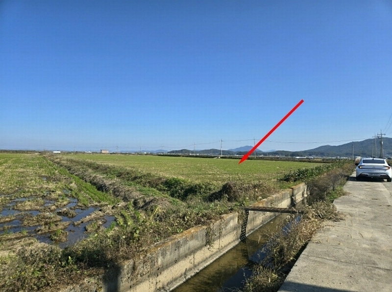 2024타경565218 인천광역시 강화군 교동면 인사리 1000-2 농지 경매 이미지