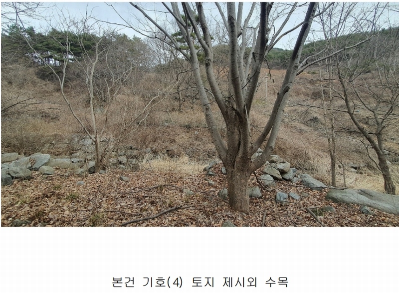 2025타경735 경상남도 산청군 삼장면 홍계리 759 창고 경매 이미지