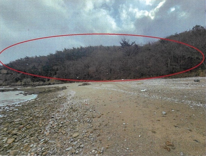 2024타경117 인천광역시 중구 무의동 산267-3 임야 경매 이미지