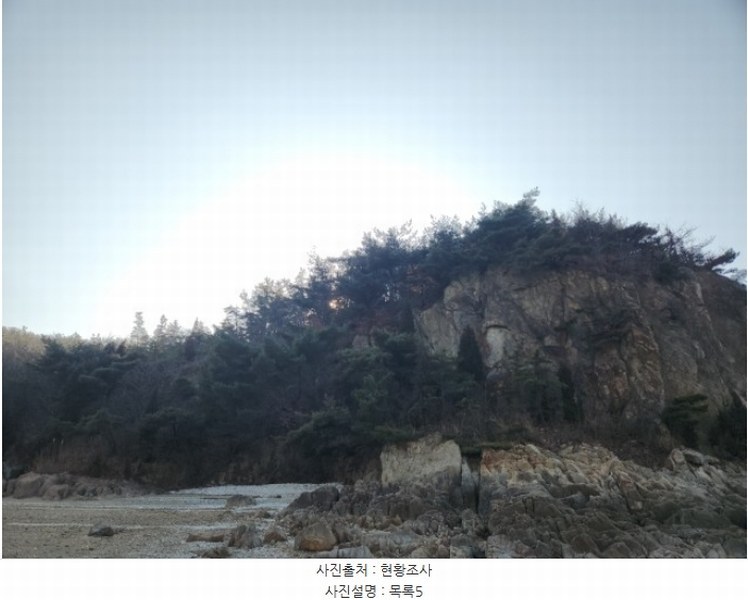 2024타경117 인천광역시 중구 무의동 산267-3 임야 경매 이미지