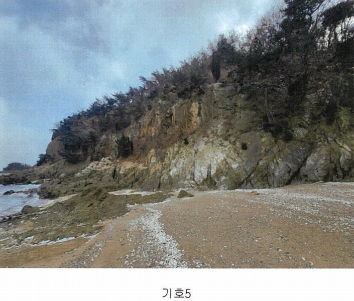 2024타경117 인천광역시 중구 무의동 산267-3 임야 경매 이미지