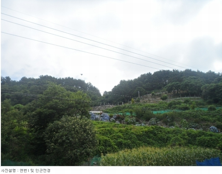 2024타경2977 경상남도 거제시 사등면 창호리 2182 농지 경매 이미지