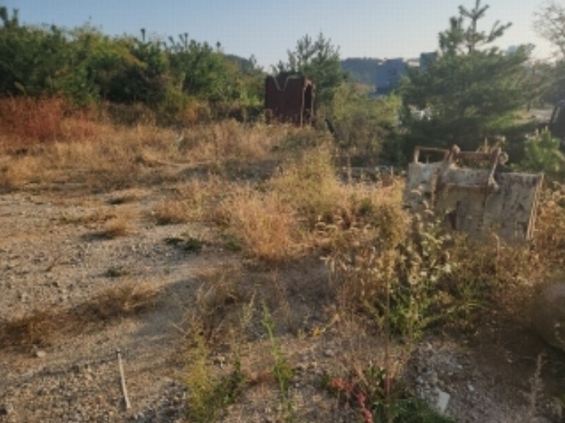 2024타경13885 인천광역시 중구 운서동 3053-9 대지 경매 이미지
