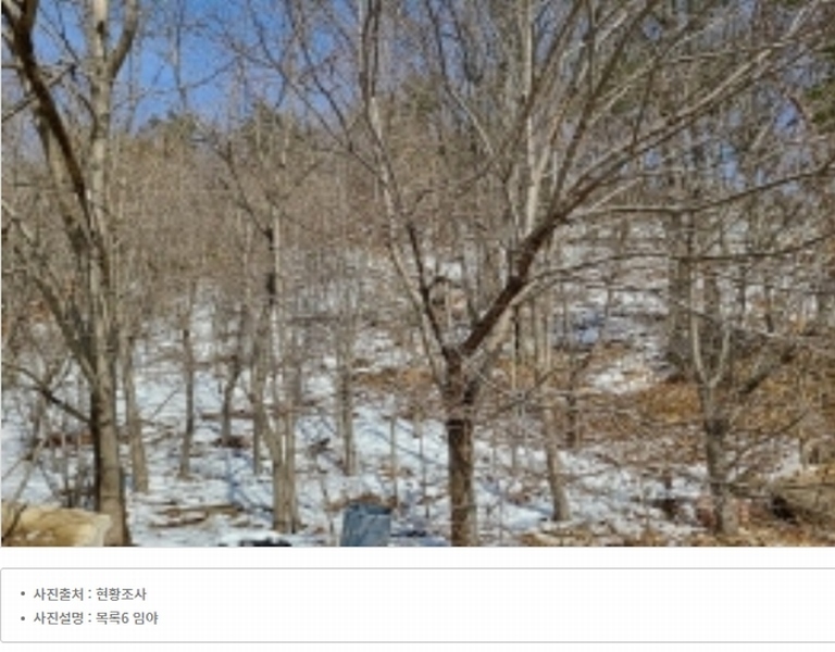 2024타경510973 인천광역시 강화군 길상면 선두리 143-9 근린시설 경매 이미지