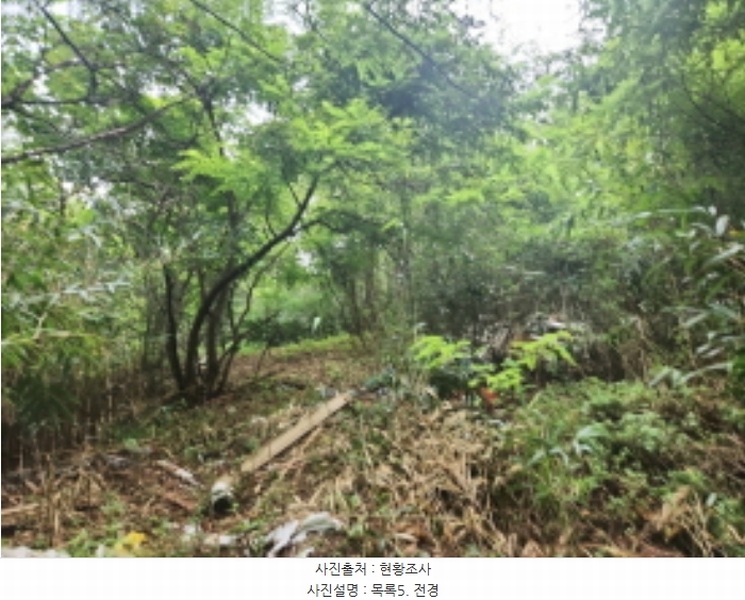 2024타경552410 인천광역시 강화군 화도면 동막리 207-6 임야 경매 이미지