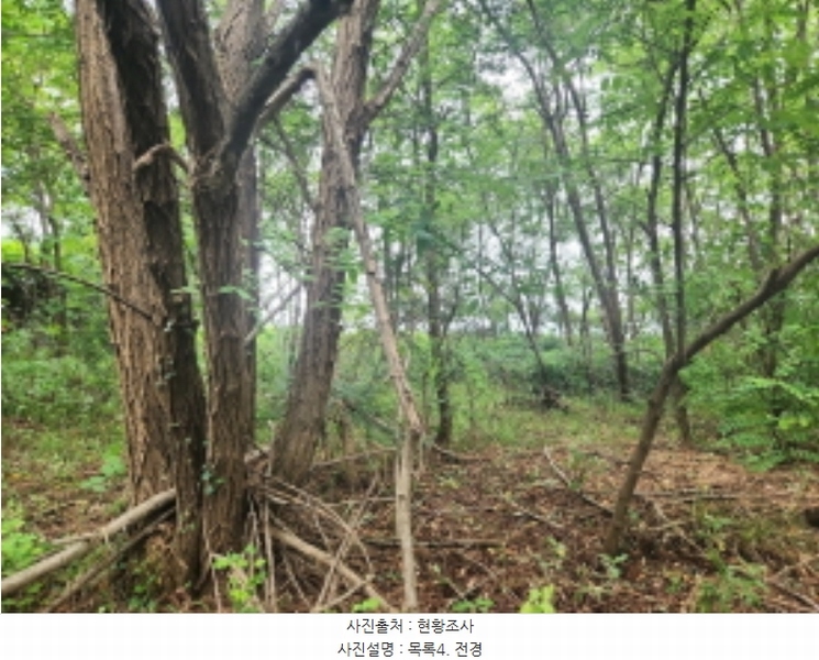 2024타경552410 인천광역시 강화군 화도면 동막리 207-6 임야 경매 이미지