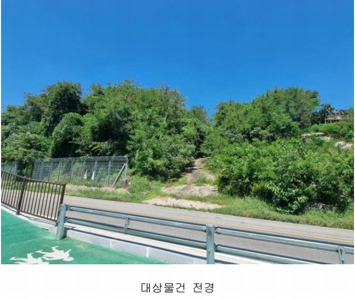 2024타경552410 인천광역시 강화군 화도면 동막리 207-6 임야 경매 이미지