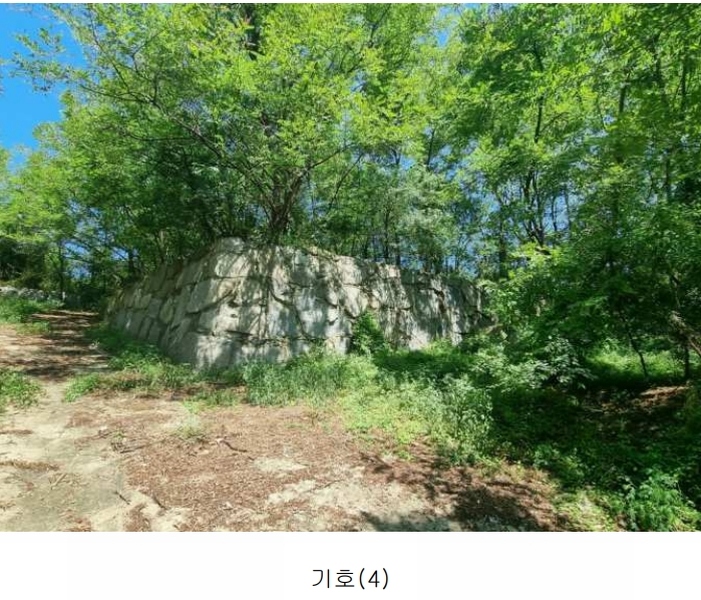 2024타경552410 인천광역시 강화군 화도면 동막리 207-6 임야 경매 이미지
