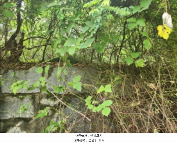 2024타경552410 인천광역시 강화군 화도면 동막리 207-6 임야 경매 이미지