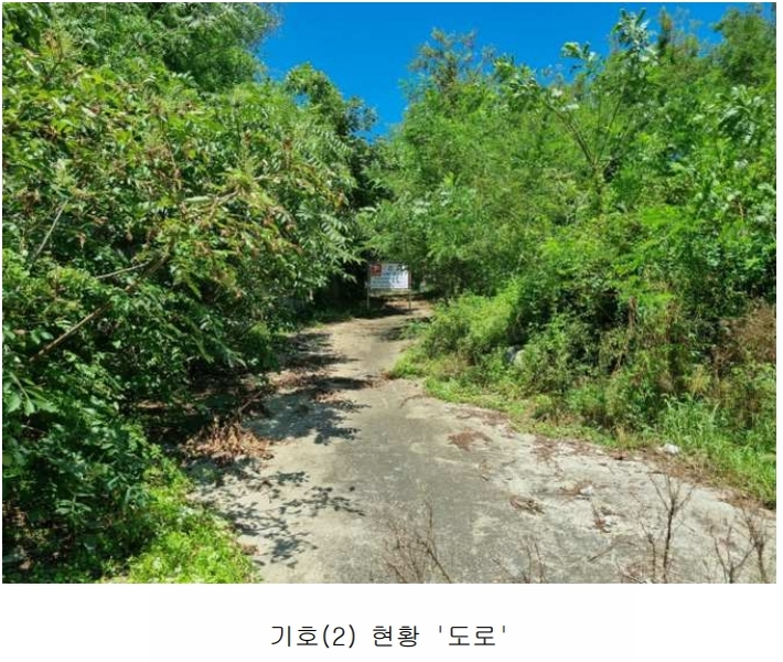 2024타경552410 인천광역시 강화군 화도면 동막리 207-6 임야 경매 이미지