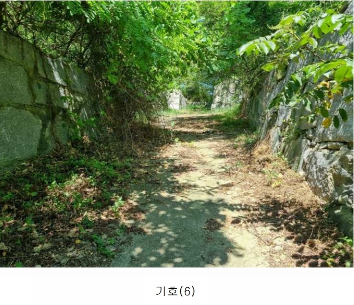 2024타경552410 인천광역시 강화군 화도면 동막리 207-6 임야 경매 이미지