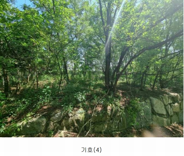 2024타경552410 인천광역시 강화군 화도면 동막리 207-6 임야 경매 이미지