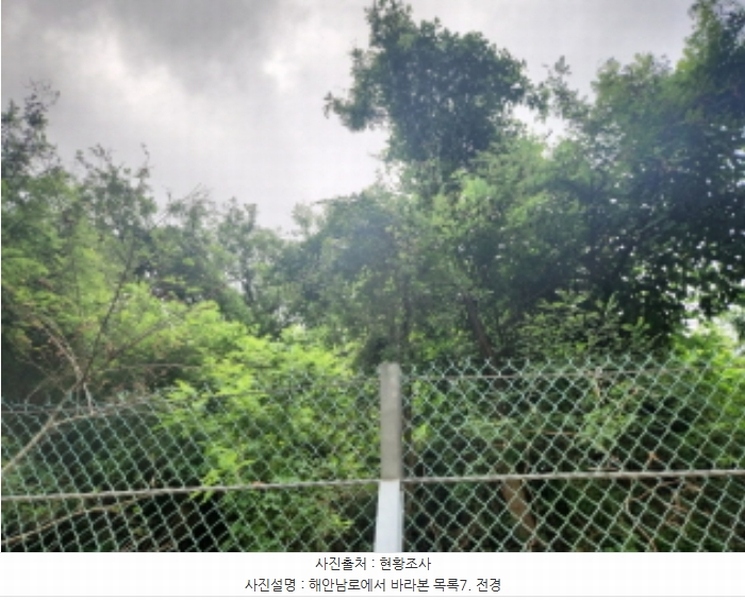 2024타경552410 인천광역시 강화군 화도면 동막리 207-6 임야 경매 이미지