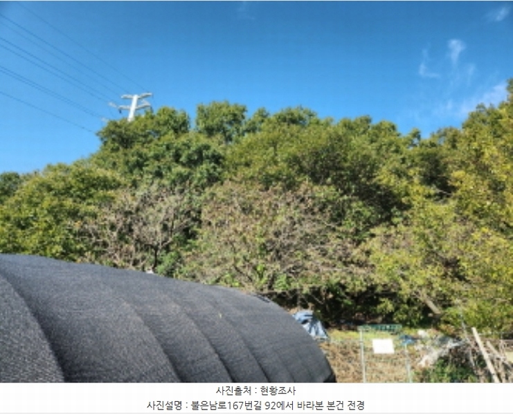 2024타경564147 인천광역시 강화군 불은면 넙성리 산19-7 임야 경매 이미지
