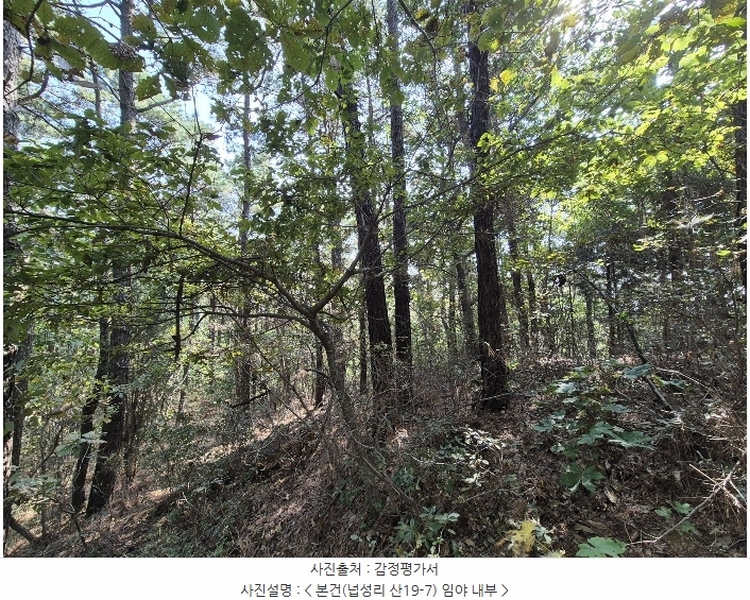 2024타경564147 인천광역시 강화군 불은면 넙성리 산19-7 임야 경매 이미지