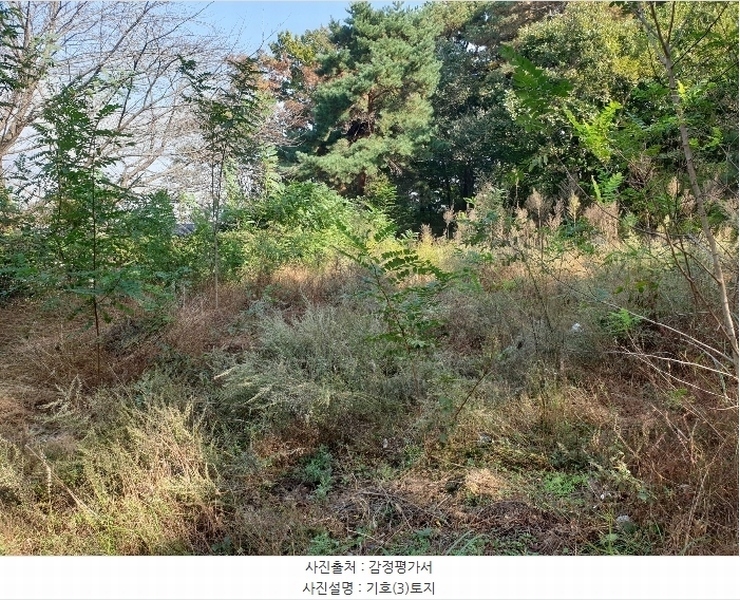 2024타경566815 인천광역시 강화군 길상면 동검리 88 주택 경매 이미지