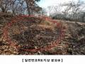 2024타경16907 인천광역시 강화군 하점면 창후리 산5 임야 경매 이미지