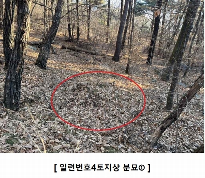 2024타경16907 인천광역시 강화군 하점면 창후리 산5 임야 경매 이미지