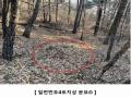 2024타경16907 인천광역시 강화군 하점면 창후리 산5 임야 경매 이미지