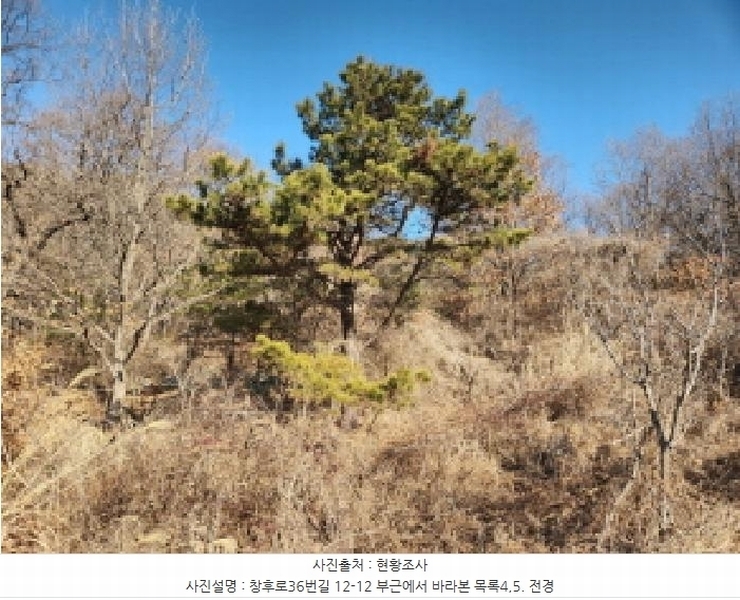 2024타경16907 인천광역시 강화군 하점면 창후리 산5 임야 경매 이미지