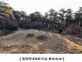 2024타경16907 인천광역시 강화군 하점면 창후리 산5 임야 경매 이미지