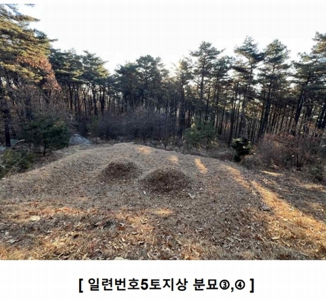 2024타경16907 인천광역시 강화군 하점면 창후리 산5 임야 경매 이미지