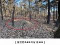 2024타경16907 인천광역시 강화군 하점면 창후리 산5 임야 경매 이미지