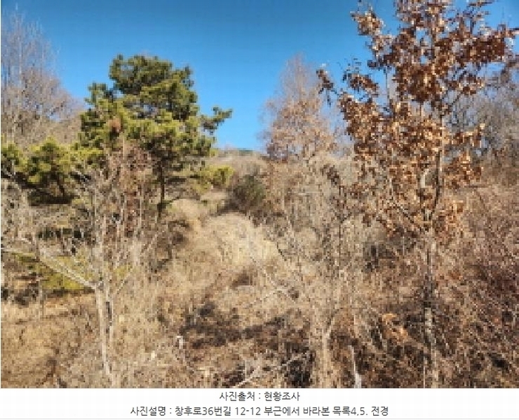 2024타경16907 인천광역시 강화군 하점면 창후리 산5 임야 경매 이미지