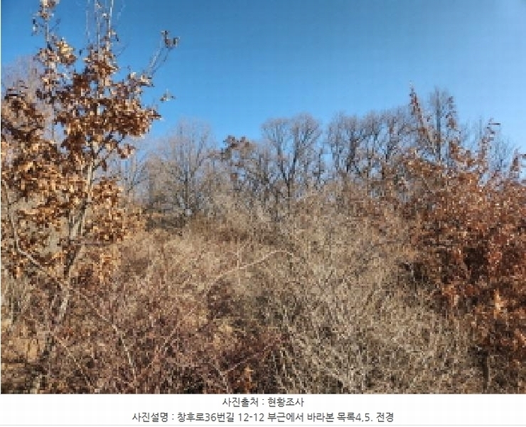 2024타경16907 인천광역시 강화군 하점면 창후리 산5 임야 경매 이미지