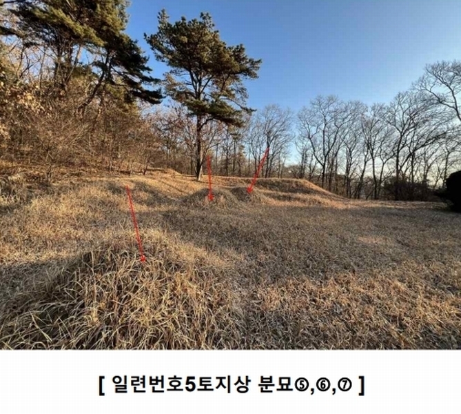 2024타경16907 인천광역시 강화군 하점면 창후리 산5 임야 경매 이미지