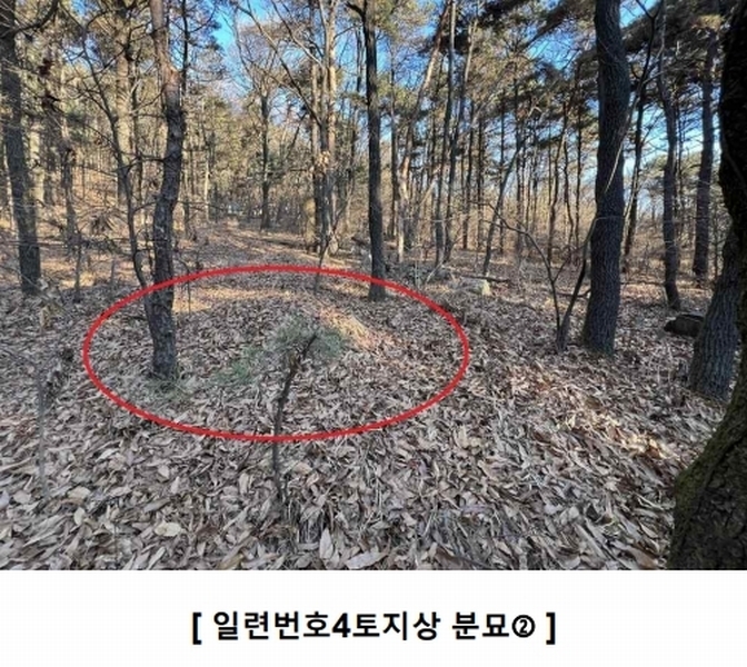 2024타경16907 인천광역시 강화군 하점면 창후리 산5 임야 경매 이미지
