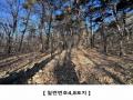 2024타경16907 인천광역시 강화군 하점면 창후리 산5 임야 경매 이미지