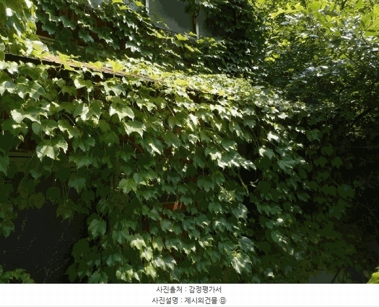 2025타경925 대구광역시 중구 남산동 2426-11 다가구(원룸등) 경매 이미지