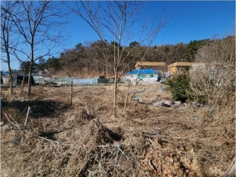2025타경503484 인천광역시 중구 덕교동 182-2 농지 경매 이미지
