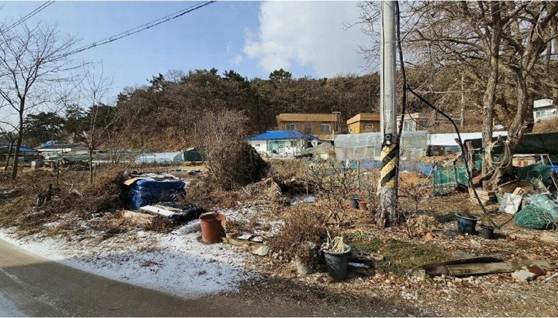 2025타경503484 인천광역시 중구 덕교동 182-2 농지 경매 이미지