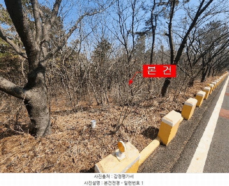 2025타경508083 인천광역시 옹진군 북도면 장봉리 산57-1 임야 경매 이미지